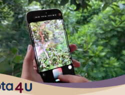 “Dari Filter ke Fotografi, iPhone 16 dengan Photographic Styles Membuat SetiapFoto Kamu Berharga!”