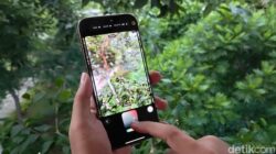 From Retro to Future: iPhone 16 Revives Classic 60s Photo Aesthetic