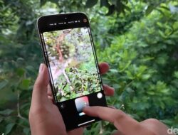 From Retro to Future: iPhone 16 Revives Classic 60s Photo Aesthetic