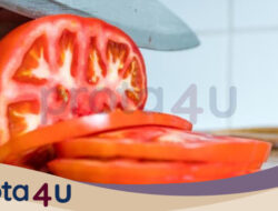 Menentukan Status Tomat: Buah atau Sayur dengan AI dan Machine Learning