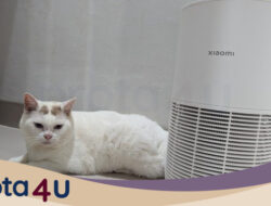 “Xiaomi Smart Pet Care Air Purifier: Solusi Sehat untuk Majikan dan Anabul”