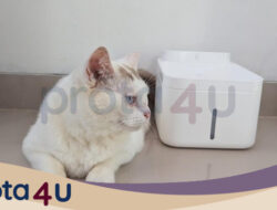 Review Xiaomi Smart Pet Fountain 2: Anabul Sehat, Majikan Tak Repot – Update 2