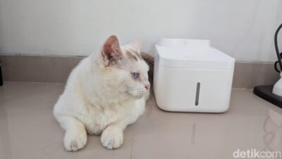 Review Xiaomi Smart Pet Fountain 2: Anabul Sehat, Majikan Tak Repot – Update 2