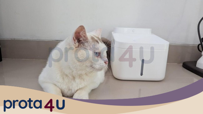 Review Xiaomi Smart Pet Fountain 2: Anabul Sehat, Majikan Tak Repot - Update 2