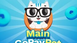 Dari GoPay ke GoPay Pet: Kenali Aplikasi Ini Sebelum Terlambat!
