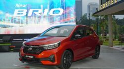 Honda Brio, Mobil yang Paling Disukai Oleh Kalangan Muda Indonesia!