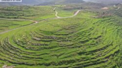 **Israel Gali Situs Arkeologi Diduga Tempat Makam Nabi dengan Sistem Otomatisasi Canggih**