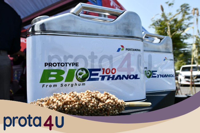 BBM Etanol E10 Baru Diterapkan 3 Tahun Lagi: Kebijakan Ramah Lingkungan atau Ancaman bagi Konsumen?