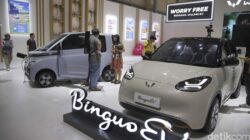 “Mobil Listrik Wuling: Harapan Insentif Tahun Depan, Apakah Pemerintah Mendukung?”