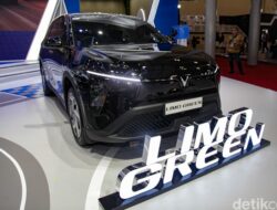 “Dari Rp 300 Jutaan, MPV Listrik VinFast Limo Green Tantang BYD M6 di Pasar Otomotif, Siapa yang Akan Menang?”