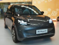 Pergi Liburan Dapat New BinguoEV, Emang Bisa? Ini Fakta di Baliknya!